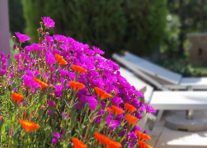 Gasthof Apulia Time Bari