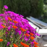 Affittacamere Apulia Time Bari