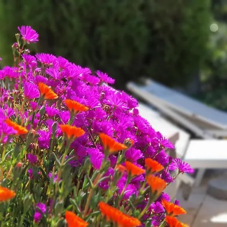Guest house Apulia Time Bari
