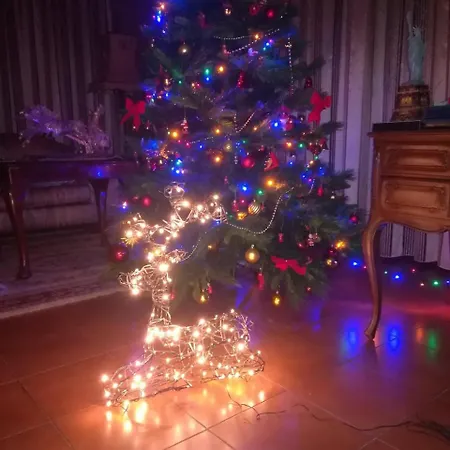 Apulia Time Guest house Bari