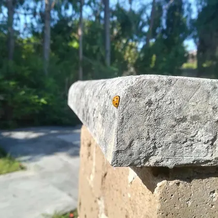 Apulia Time * باري