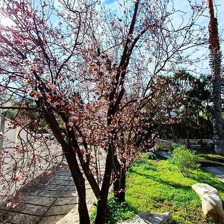 Apulia Time Гостевой дом