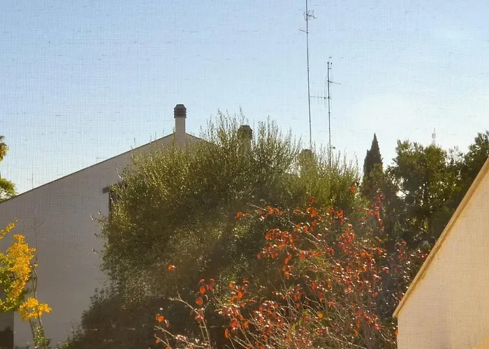 Apulia Time * בארי