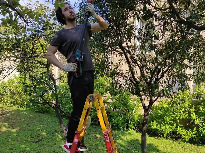 Apulia Time Casa de hóspedes *