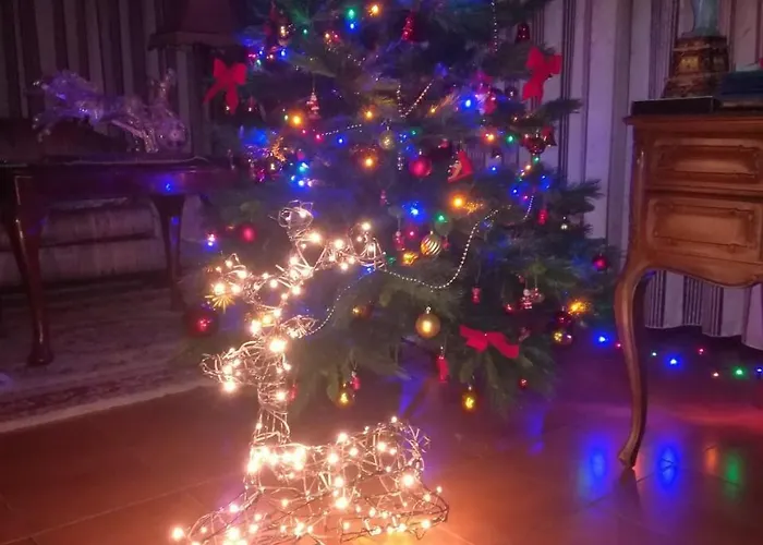 Apulia Time Гостьовий будинок Барі