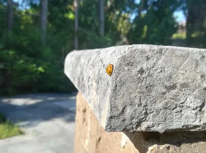 Apulia Time * Барі