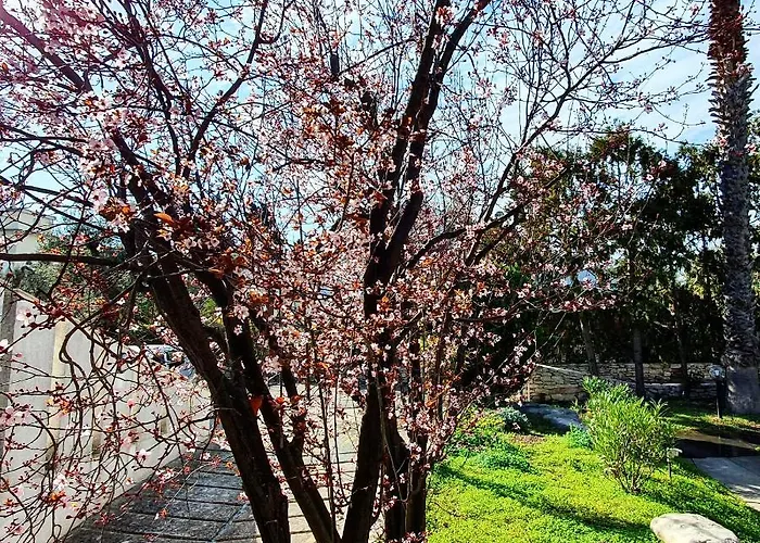 Apulia Time Гостьовий будинок